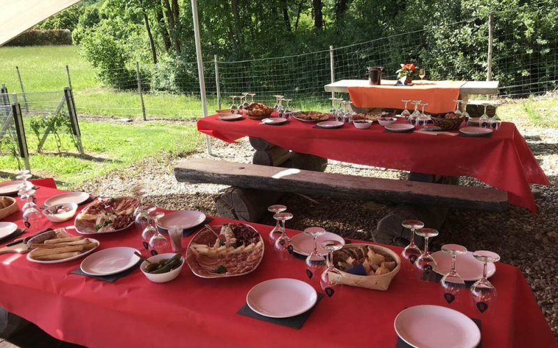 Degustazione in Vigneto