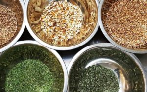 Tour e Degustazione della Birra No Land