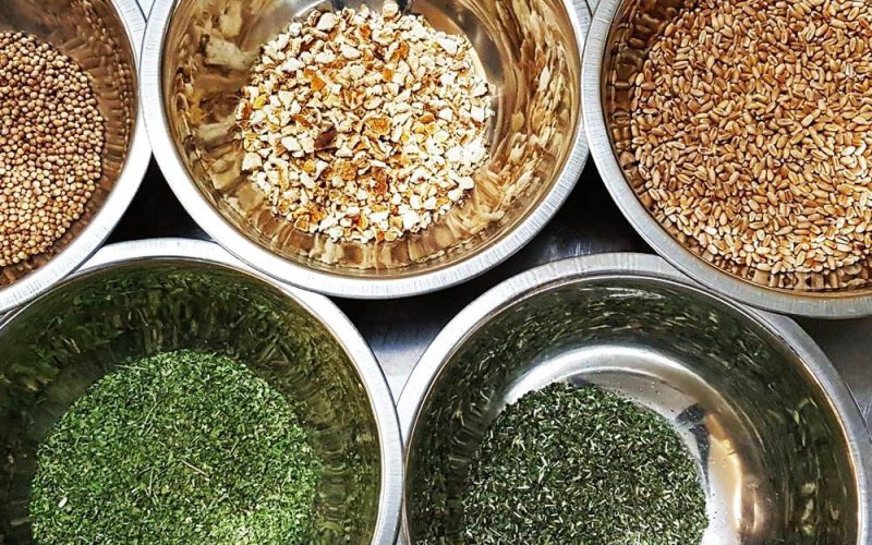 Tour e Degustazione della Birra No Land