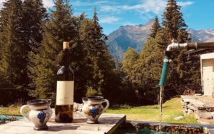 I Vigneti sulle Colline, una Cantina Speciale e la Storia dei Vini