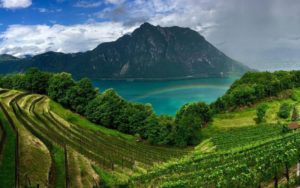 I Vigneti sopra il Lago e la loro Bellezza