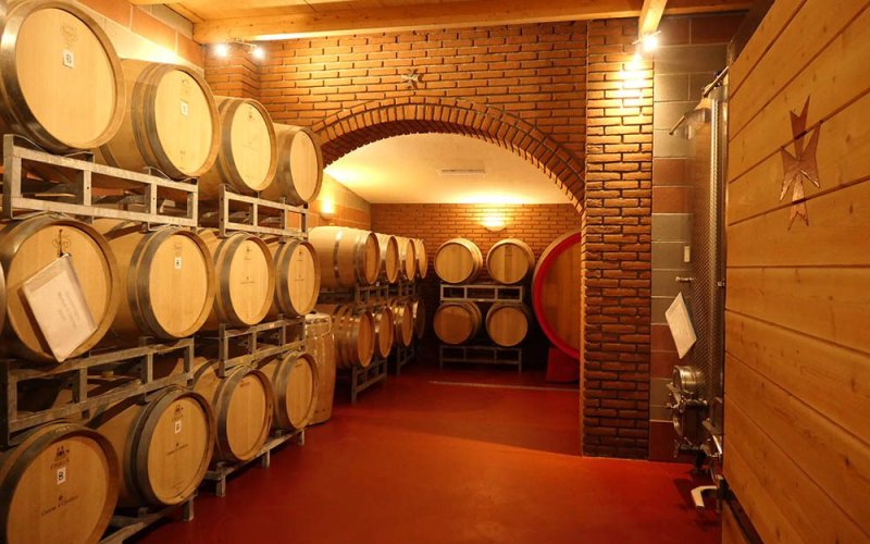 Il Vino tra Passione, Storia e Qualità
